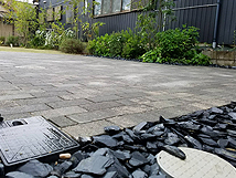 ���i�s���̉�