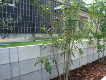 ���i�s�ܐF���̉ƅA