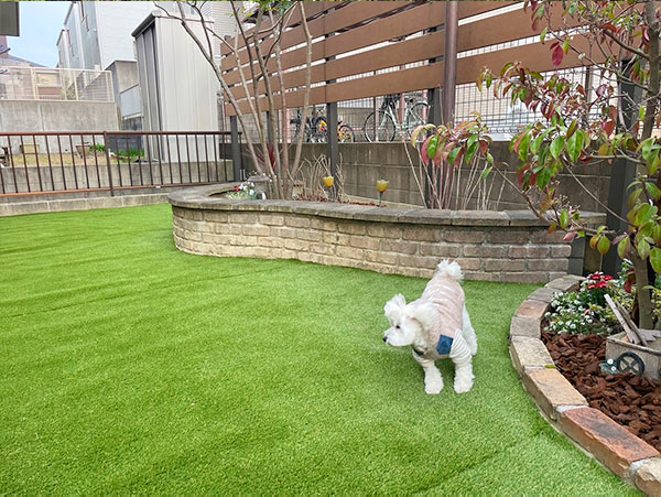 ���i�s�̌���q�����V�ׂ邨��