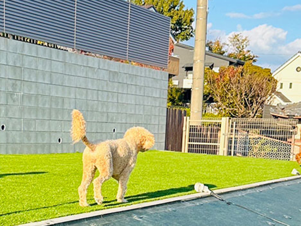 ���ˎs�̌���q�����V�ׂ邨��